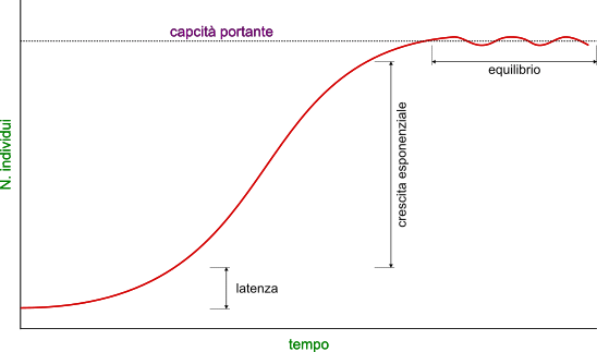 crescita logistica