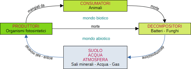 ciclo nella catena alimentare