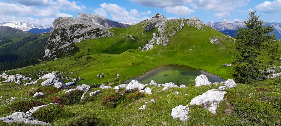 Valparola