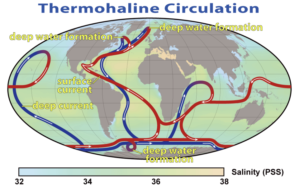 circolazione termoalina