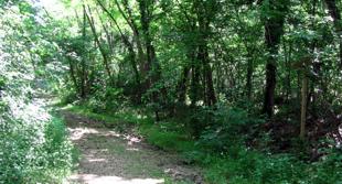 Cava di perlite cava