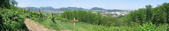 Panorama dei Colli panorama