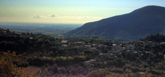 Arqua
