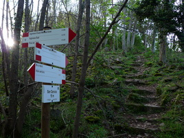 bivio San Daniele: girate a destra discesa