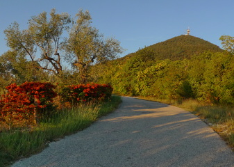 Via Vallesana e Monte Cero Via Vallesana e Monte Cero