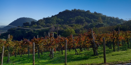 Monte Boscalbò M. Boscalbò