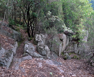 Sentiero con rocce