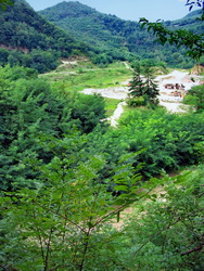 bordo cava