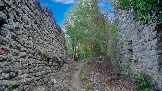 mura