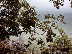 Piana del Bacchiglione panorama