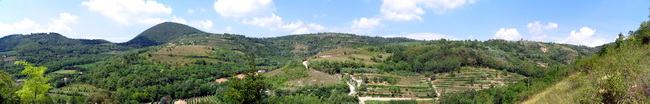 panorama