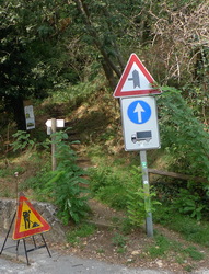 sentiero