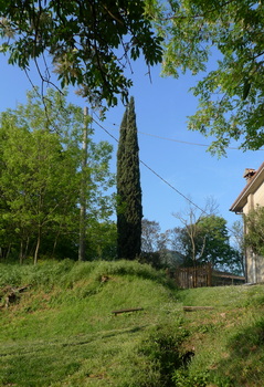 bivio