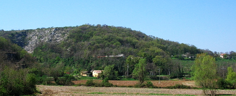 m. Spinazzola