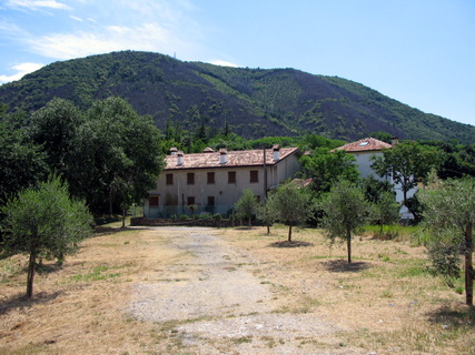 olivi