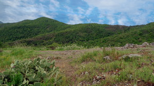 Monte Spinefrasse m. Spinefrasse