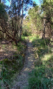 Sentiero in salita salita