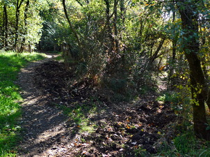 Bivio che aggira il M. Ceva boschetto