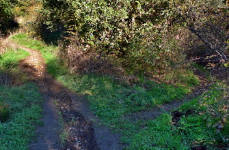 Bivio sentiero Mezza Costa sentiero