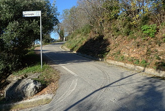 scalette