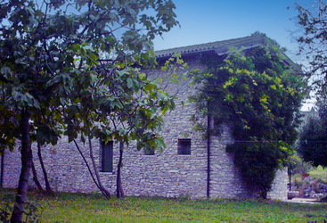 Piùmula Officinali