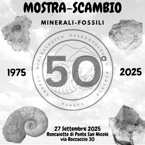 Mostra-Scambio di Minerali e Fossili